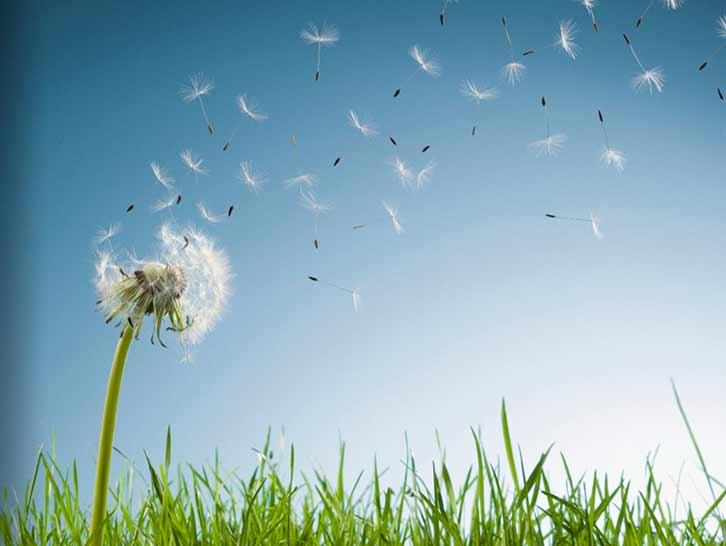 Vind store præmier online